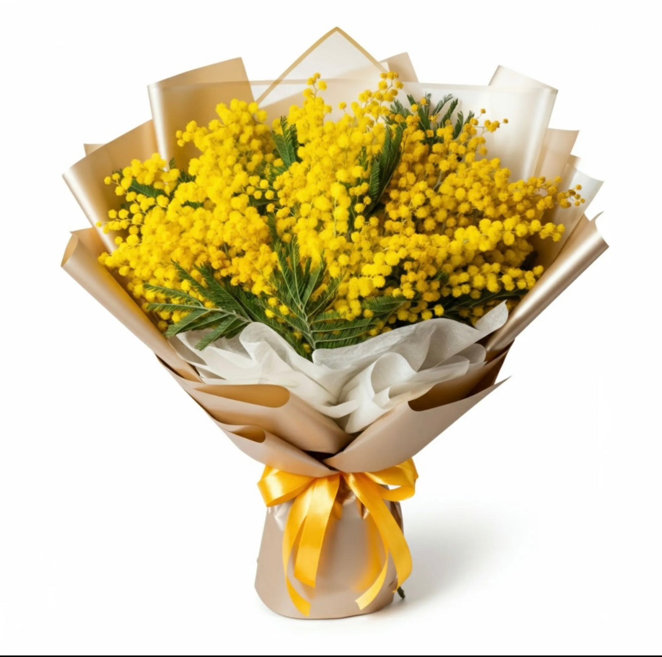 Golden Mimosa – Bright & Fragrant Blossoms for Any Occasion