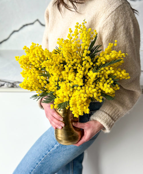 Golden Mimosa – Bright & Fragrant Blossoms for Any Occasion
