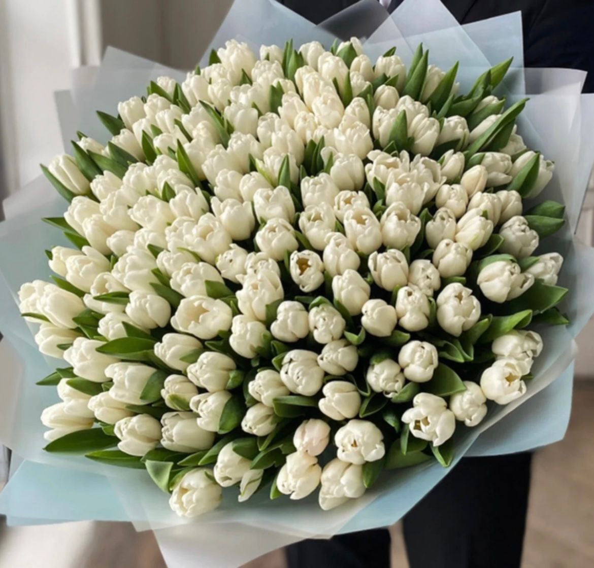 White tulips