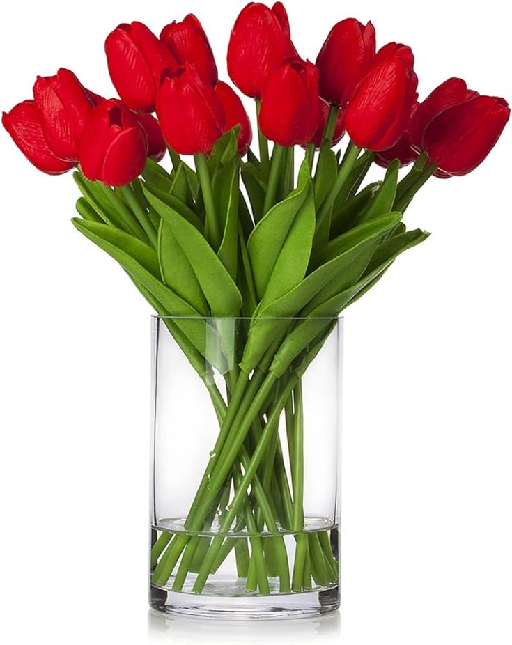 25 Red Tulips