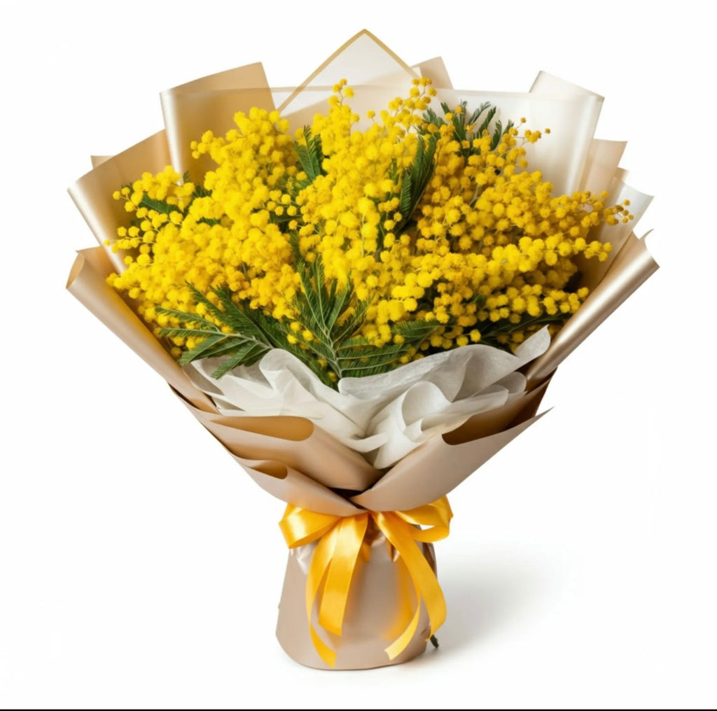Golden Mimosa – Bright & Fragrant Blossoms for Any Occasion