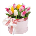 Box with Tulips