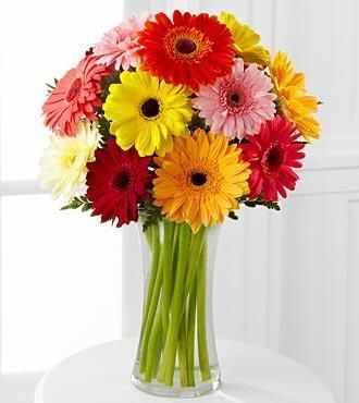 12 Gerberas