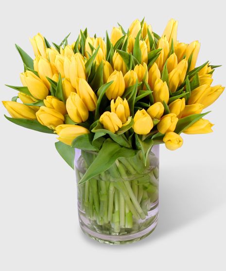 30 Yellow Tulips