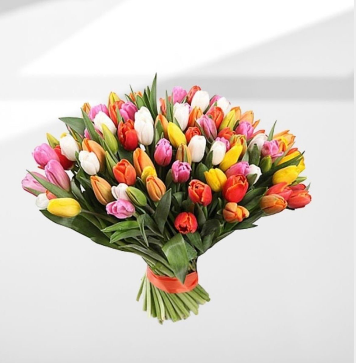 Mixed tulips