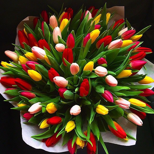 Tulipani multicolore