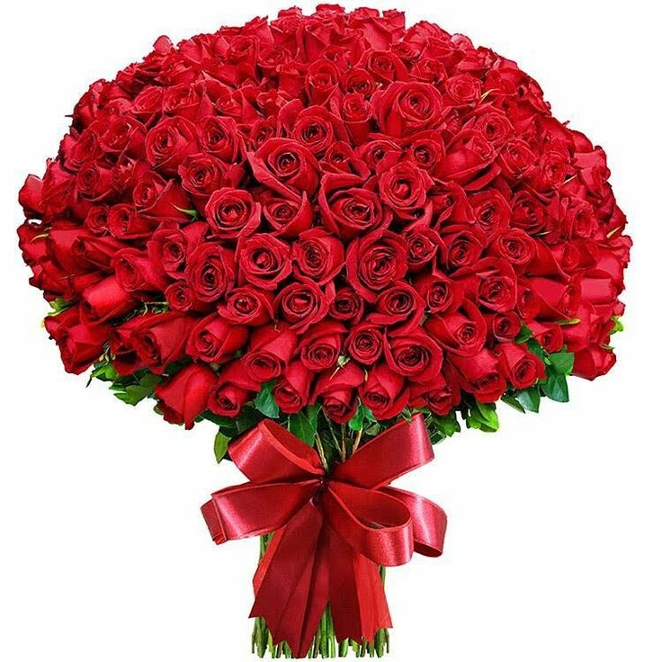 150 Red Roses  150 pcs