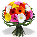 25 Gerberas